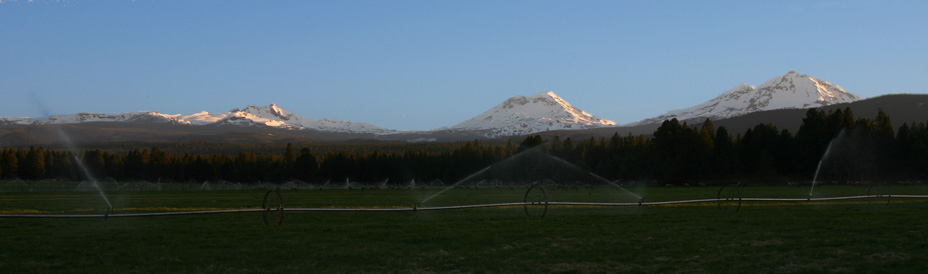 Three Sisters Hyzer Pines