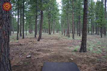 Hyzer Pines Disc Golf Course Sisters Oregon Bullseye Disc Golf com Hyzer Pines Disc Golf Course Sisters Oregon Bullseye Disc Golf com