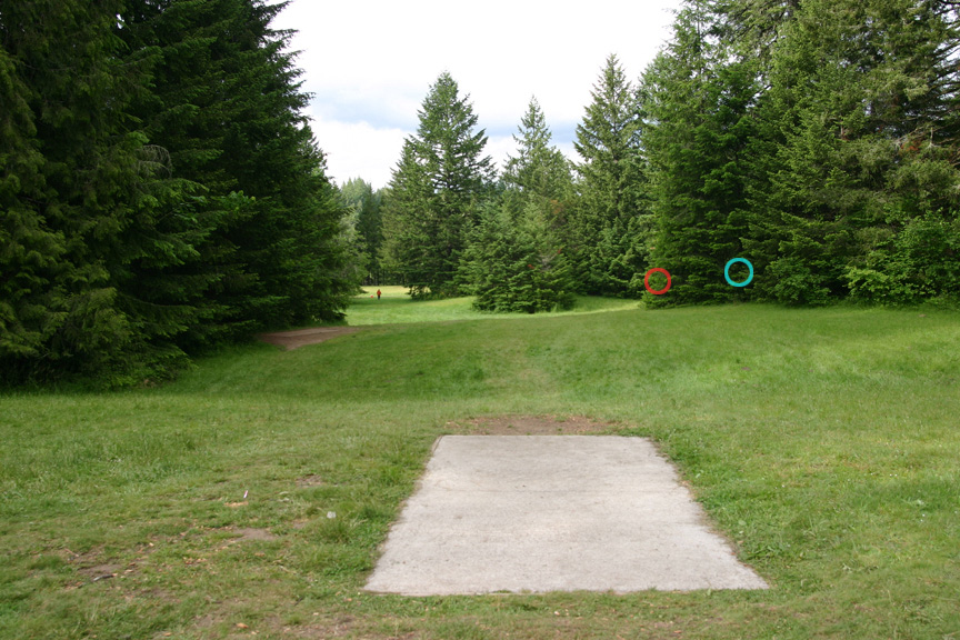 Hole 14 tee