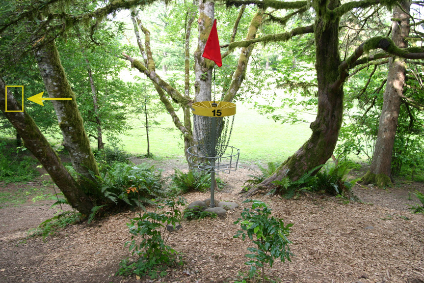 Hole 15 basket