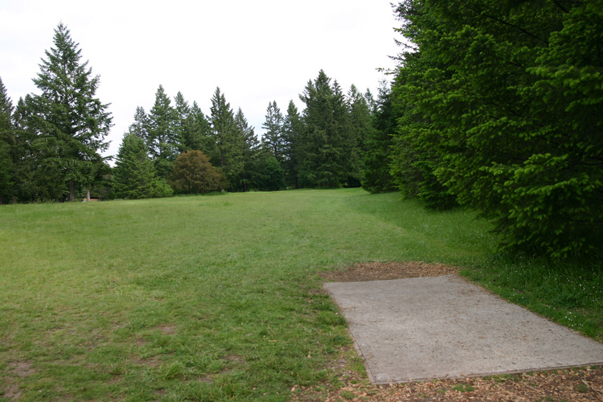 Hole 15 tee