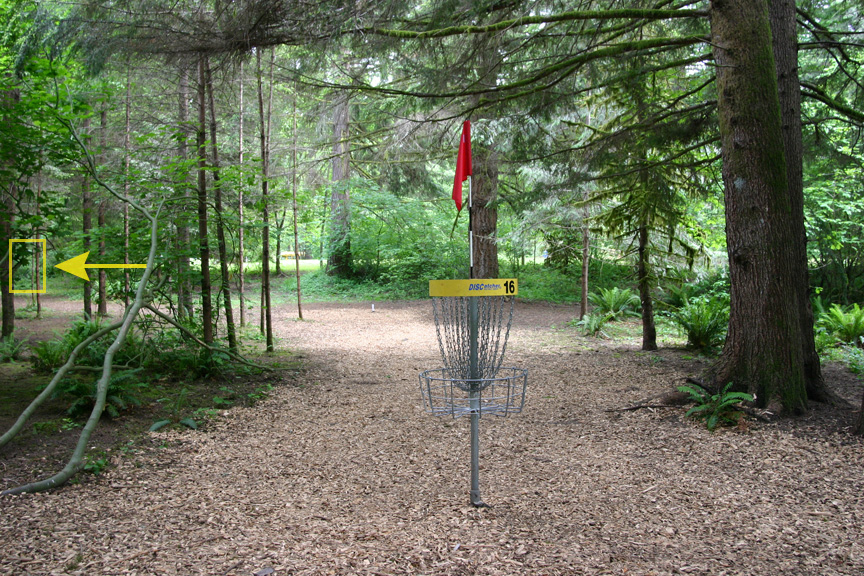 Hole 16 basket