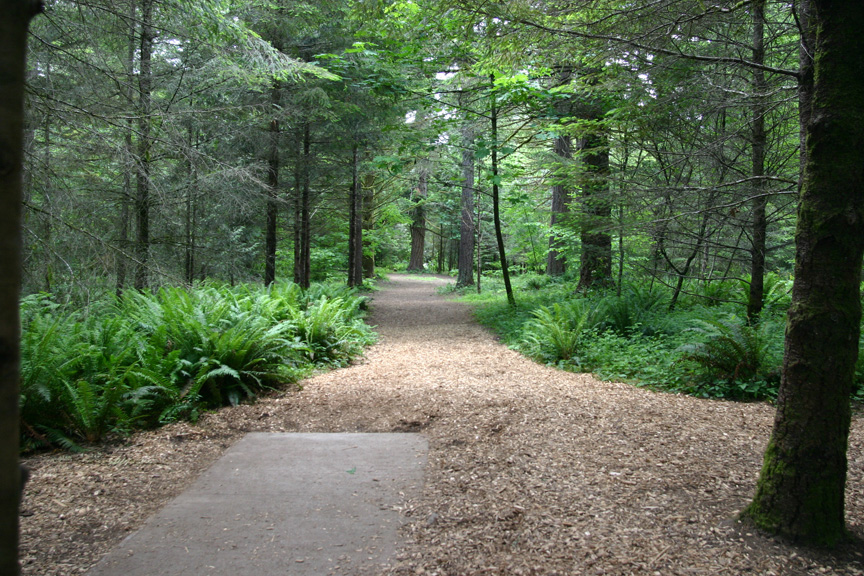 Hole 16 tee