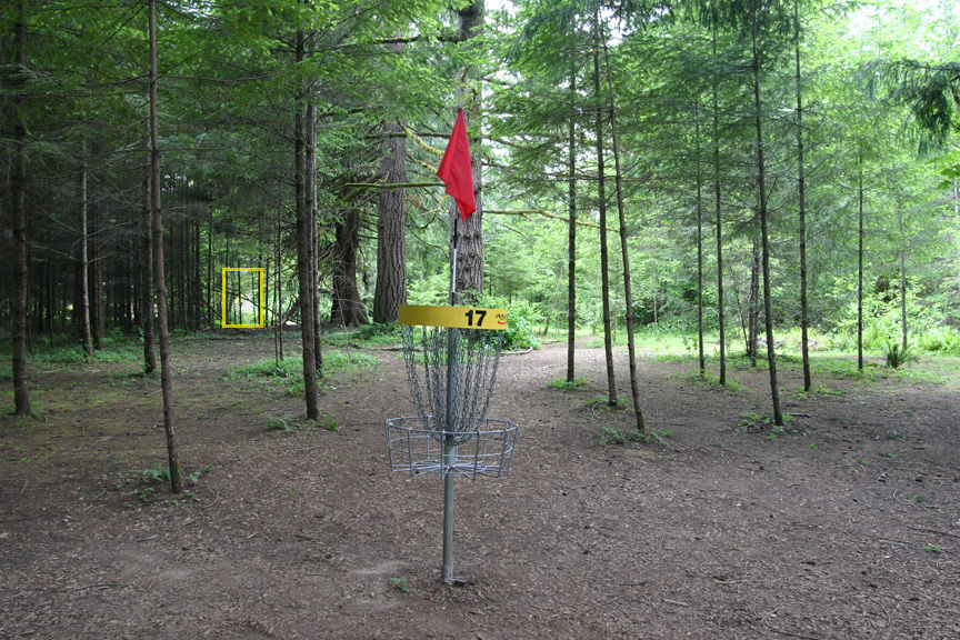 Hole 17 basket