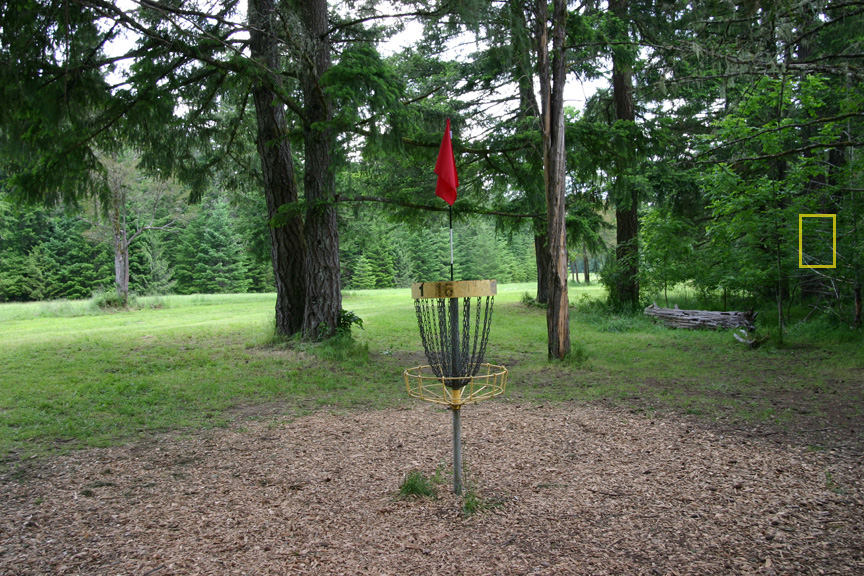 Hole 19 basket