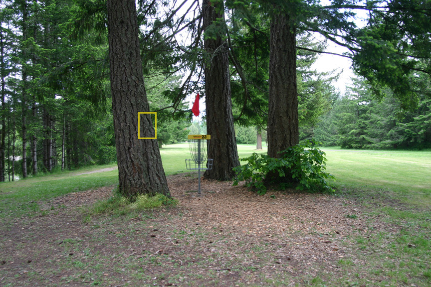 Hole 23 Basket