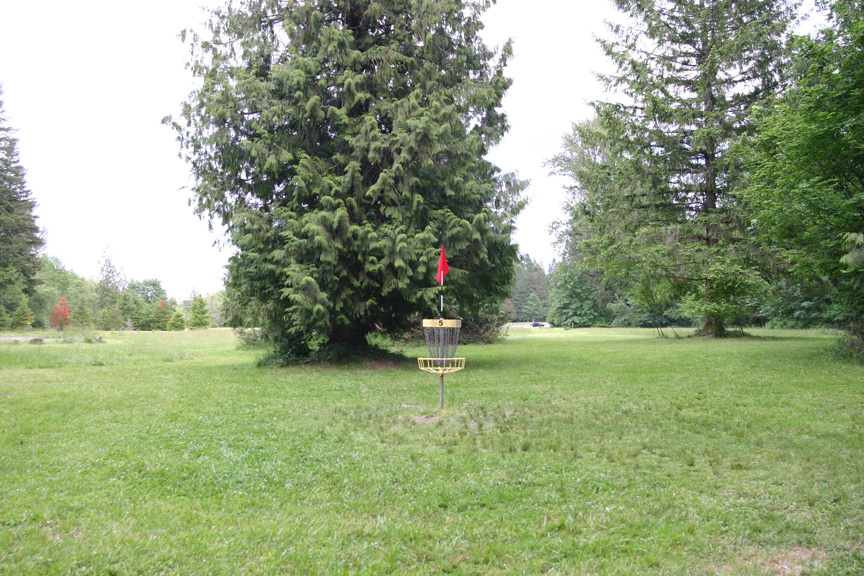 Hole 5 tee