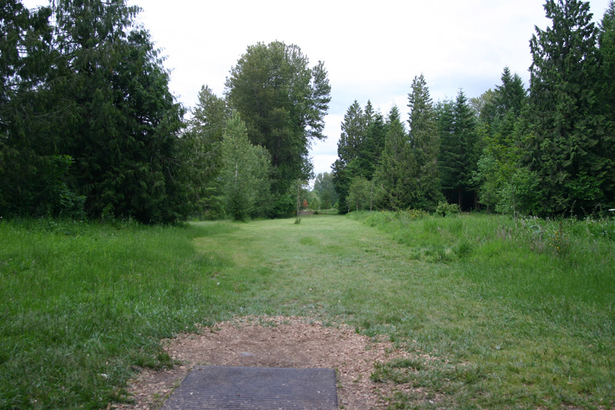 Hole 7 tee