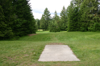 Milo McIver Standard 27 layout Hole 14 Tee