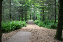 Milo McIver Standard 27 layout Hole 16 Tee