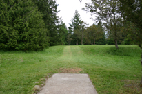 Milo McIver Standard 27 layout Hole 19 Tee