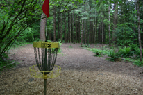 Hole 2 Basket