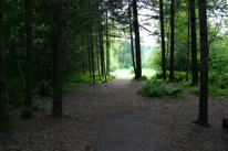 Milo McIver Standard 27 layout Hole 6 Tee