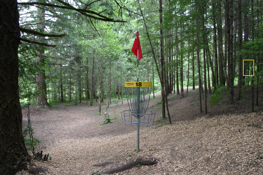 Hole 5