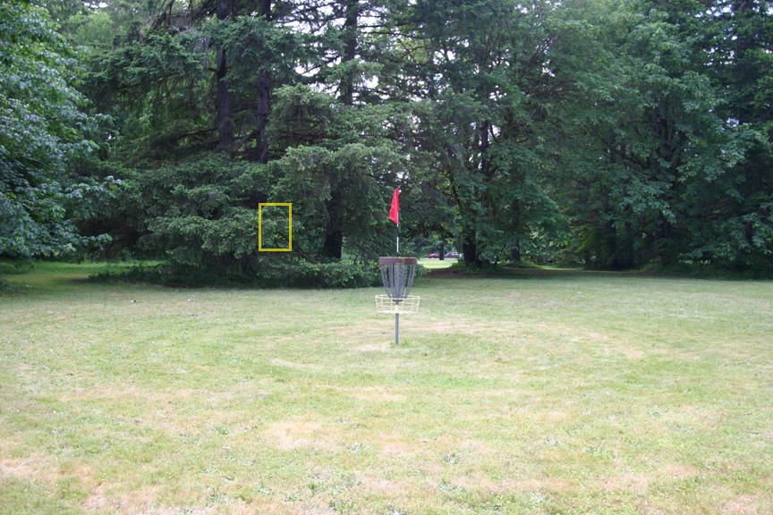 Hole 8