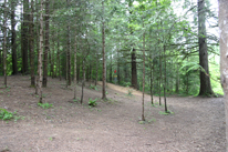 Hole 5 Approach