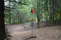 Hole 5 Basket