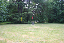 Hole 8 Basket