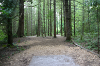 Milo McIver 36 Hole Tournament Layout West Course Hole 3 Tee