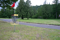 Hole 8 Basket