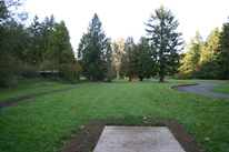 Hole 8 Tee